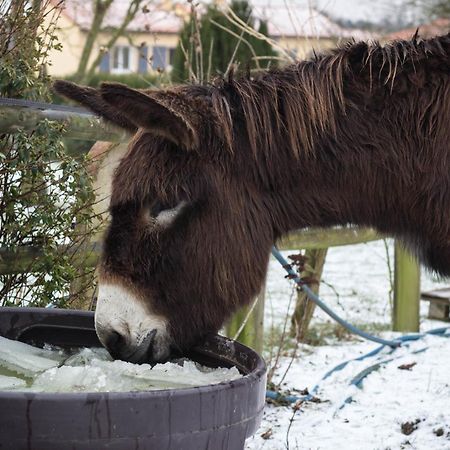 Ferienwohnung Domaine Des Fees La Gaubretiere Zimmer foto